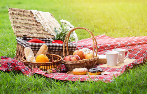 Summer pic nic