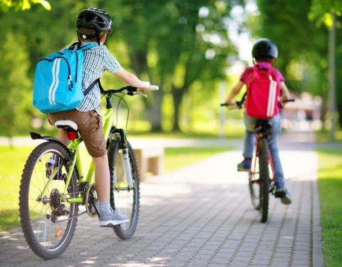 Immagine di bici e-bike