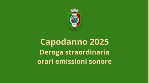 Ordinanza 26/2025