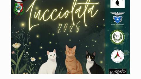 lucciolata
